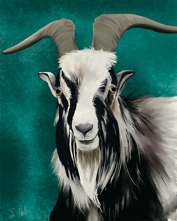 Billy Goat artwork by Sherry Hall
